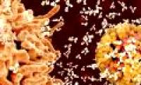 Find out the mechanism that causes the disease to destroy itself
