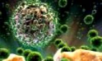 Find out the mechanism to maintain HIV infection