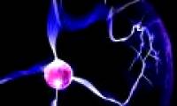 Find out the most strange cause of nature