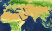 Find the culprit to destroy half of the trees on Earth