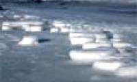 Find the main culprit causing the glaciers to melt