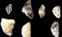 Find the world's oldest arrow in South Africa