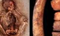 Finding collective children graves dating back about 550 years