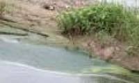 Finding the cause of the Red River