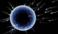 Finding the gene that can cure infertility for men
