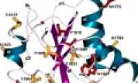 First sketches the genome map of a family
