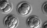 First successful in testing gene editing technology