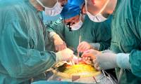 First successful pig liver transplant to a living person