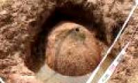 Fishermen stumble upon a 10,000-year-old giant shell in Argentina