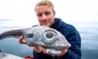 Fishing 'dinosaur fish', fishermen almost jumped out of the boat
