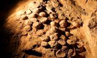Flash flood accidentally reveals 'heavenly treasure': So rare that it shocked China and the world!