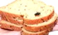 Flies land on the cake and you continue to eat?  Believe me you will never dare to do that anymore