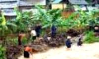 Flooding caused much damage in Dien Bien province