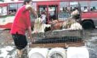 Floods flood into Bangkok's northern district