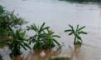Floods washed away 13 houses with 12 people