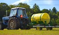 Florists say: Human urine is an extremely good fertilizer for plants
