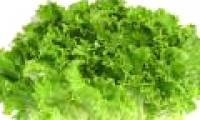 Foods rich in vitamin K you need to know