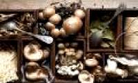 Foods that should be avoided repeatedly because they are harmful to health