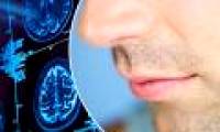 For the first time, scientists have drawn a human olfactory map