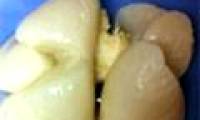 For the first time successfully replicating human lungs