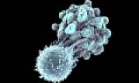 For the first time, three cancer patients in the US were treated with CRISPR gene editing technology