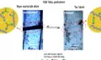 For the first time Vietnam created smart silicon materials
