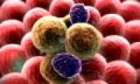 Former director of K Hospital shared 5 things that are enough to prevent 80% of cancer