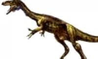 Fossil discovery of a new dinosaur