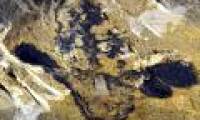 Fossil flowers were discovered more than 174 million years ago