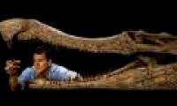 Fossils discovered 5 crocodile species 100 million years