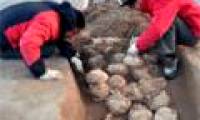 Found 80 skulls in the stone city of China