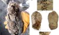 Found 'brand name' shoes 5,500 years old