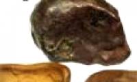 Found evidence in the Tunguska case?