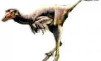 Found fossils of new dinosaurs
