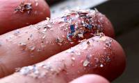Found microplastics in unexpected places