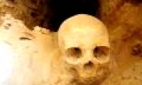 Found skull Queen Cleopatra