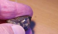 Found strange meteorites outside the Solar System: Suspect alien remnants