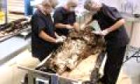 Found the 17th-century female corpse buried with her husband's heart