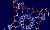 Four-stranded DNA strands in human cells