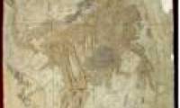 Four-winged dinosaurs have relatives with birds?