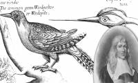 Francis Willughby: The First to Classify Birds