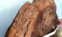 Ganoderma weighs half a pound, 5 people alternate in the forest