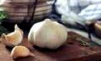 Garlic can fight lung infections
