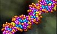 Gene - the causative agent of schizophrenia
