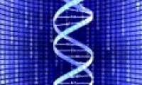 Gene therapy can help patients with anemia
