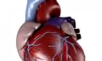 Gene therapy helps aging the heart