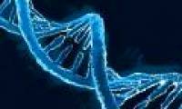 Gene therapy uses hematopoietic stem cells in the treatment of HIV / AIDS