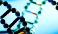 Genetic breakthroughs open up the revolution in cancer treatment