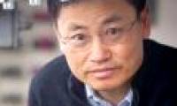 Genetic modification rice yield up to 30% higher