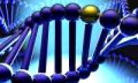Genetic testing can help predict early menopause